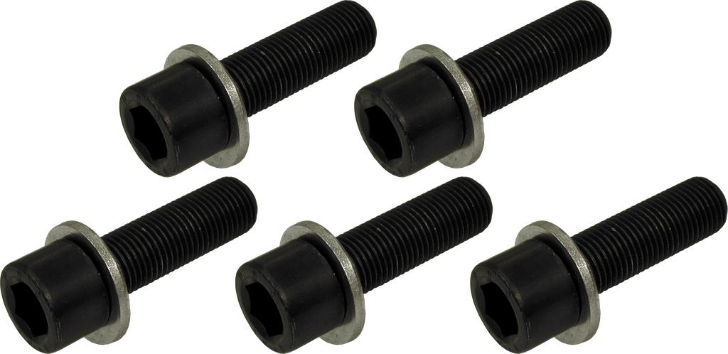 Wheel Bolts M12x1.25, Grade 10.9, 5 pcs (6148733, PICHLER)