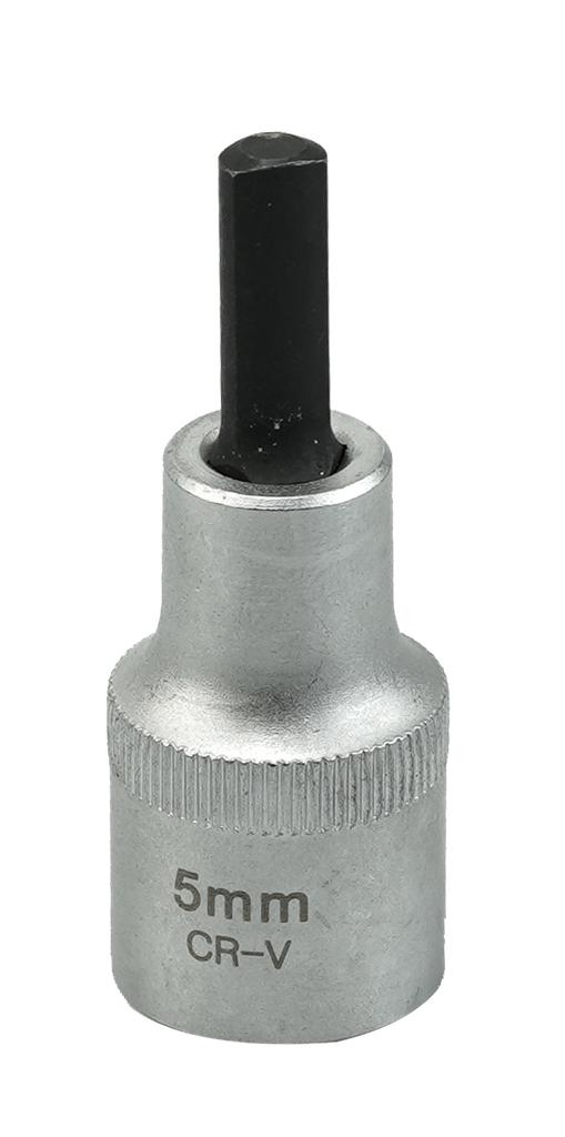 Amortizatoru un statņu apskavu paplašinātājs 1/2 collas (62010000, PICHLER)