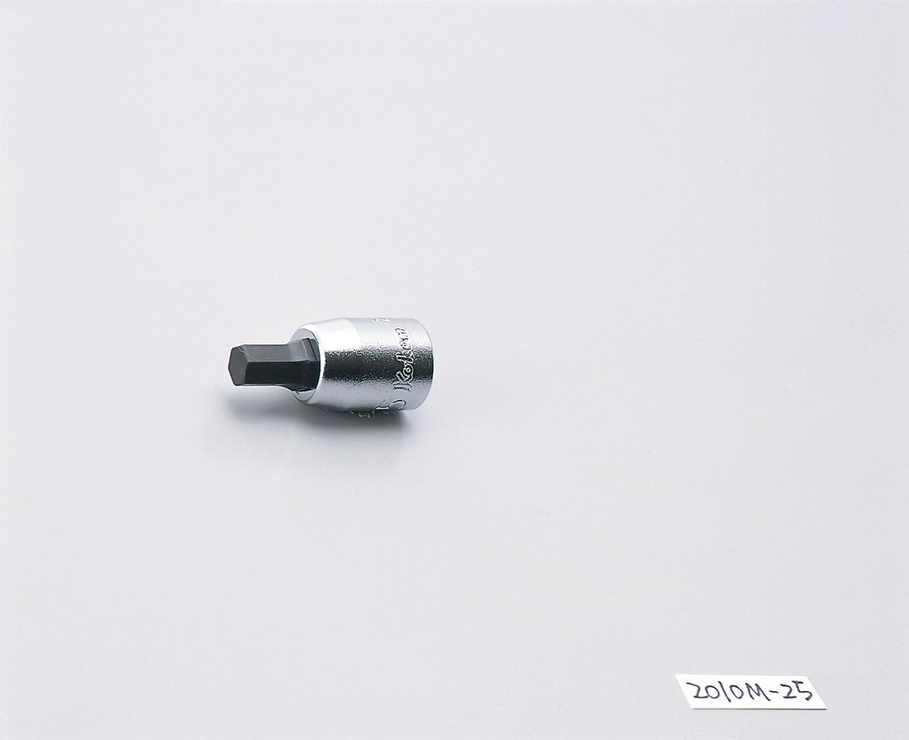 Galvutė su šešiakampiu antgaliu 1/4 col., HEX 2,5 mm (72800413, PICHLER)