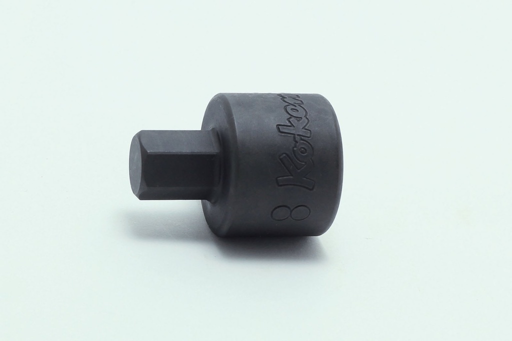 Galvutė su šešiakampiu antgaliu 3/8 col., HEX 10 mm, ilgis 25 mm (73800283, PICHLER)