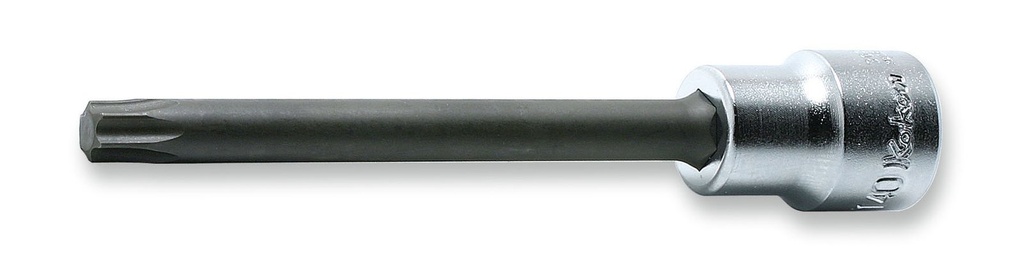 3/8 col. galvutė su antgaliu Torx T55, apvalus kotas, ilgis 100 mm (73800378, PICHLER)