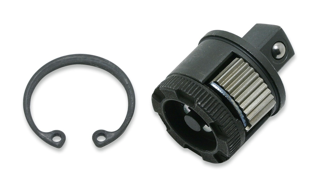 Ratchet Renewal Kit (73801207, PICHLER)