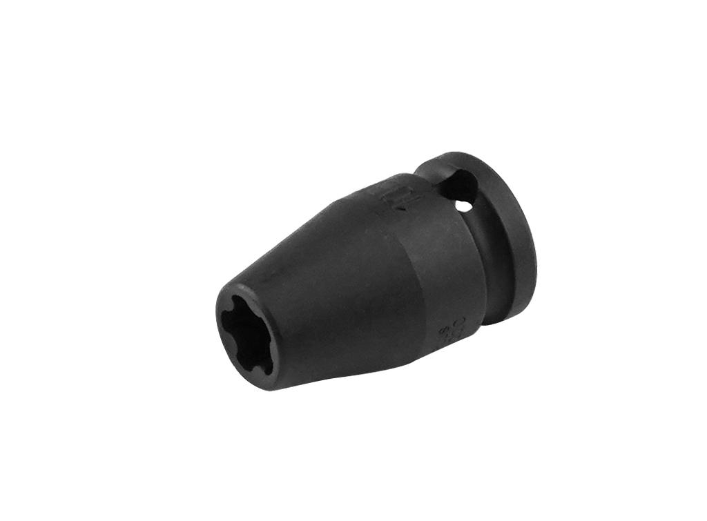 Smūginė apsauginė TORX PLUS galvutė 3/8 col. (73890296, PICHLER)