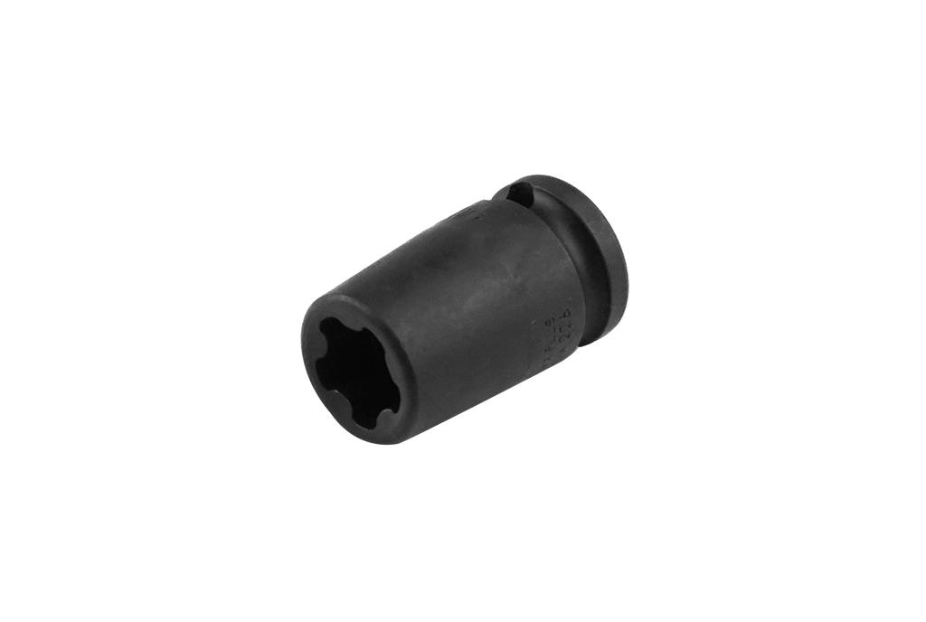 Trieciena aizsargātā TORX PLUS galva 3/8 collas (73890298, PICHLER)