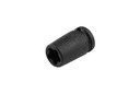 Smūginė apsauginė TORX PLUS galvutė 3/8 col. (73890298, PICHLER)