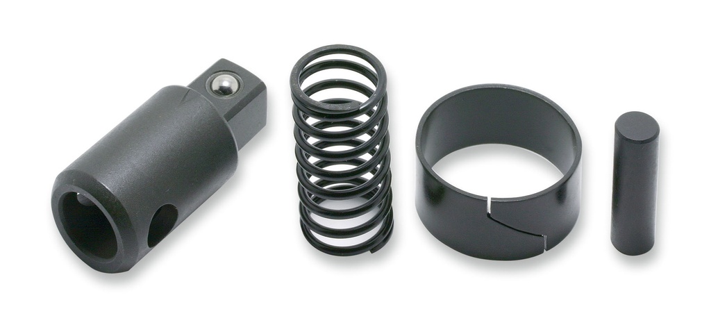 Ratchet Renewal Kit (74800402, PICHLER)