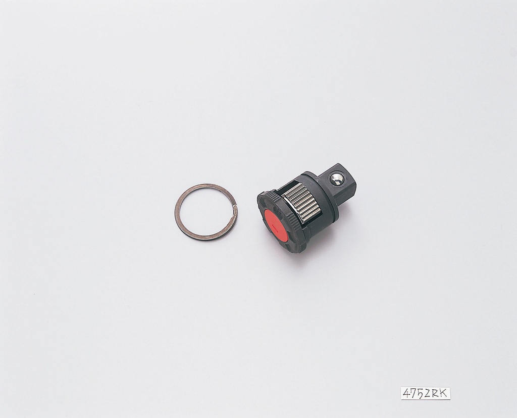 Ratchet Renewal Kit (74800983, PICHLER)