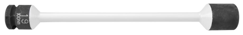 Griezes momenta stienis SW 19 mm, 100 Nm (79819100, PICHLER)