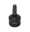 Torx antgalinė galvutė 3/4 col. specialios kokybės, TX60, ilgis 80 mm (79896600, PICHLER)
