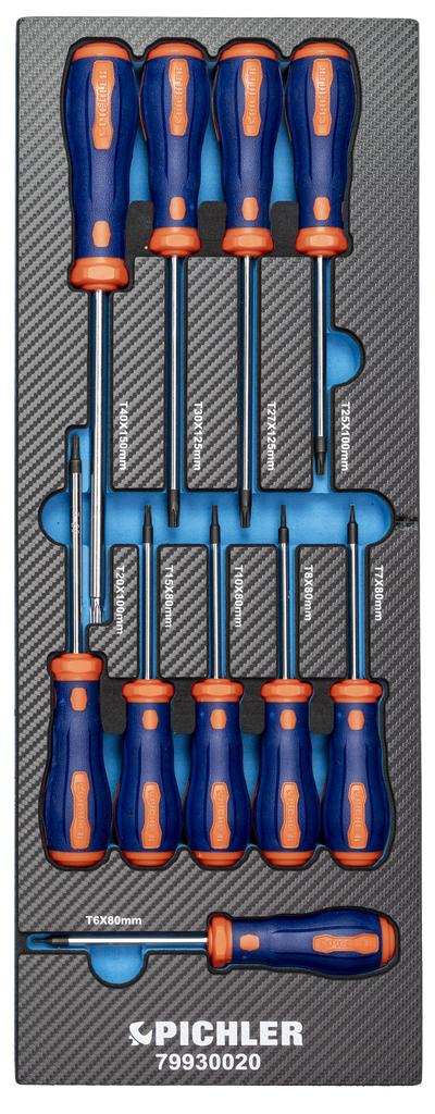 Screwdriver Set in Foam Insert, 10 pcs., TX T6–T40 (79930020, PICHLER)