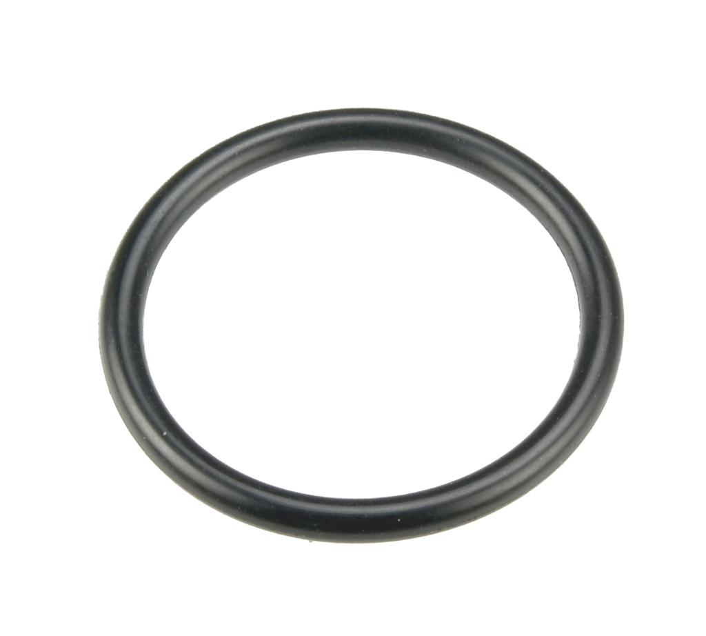 Sandarinimo žiedas (O-ring) siurbliui 80118204 (80118208, PICHLER)