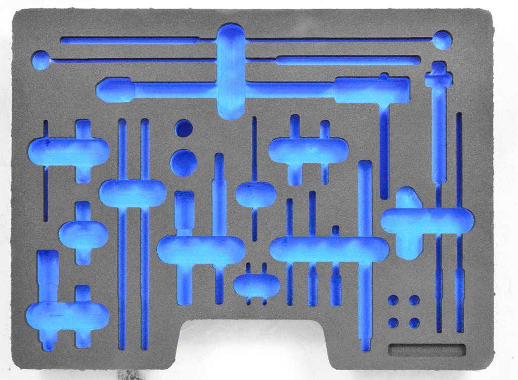 Foam Insert for Set 60416300 / 60416305 (8800062, PICHLER)