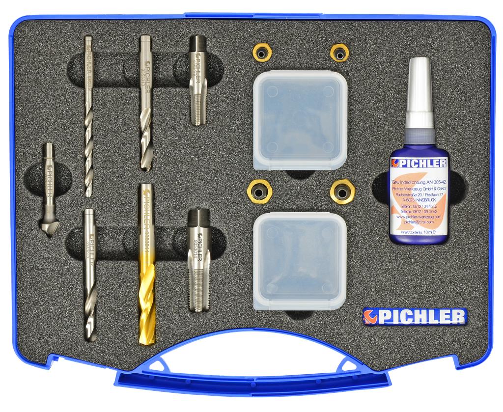 Brake caliper bleeder valve repair kit 1/4 and 1/8 in. NPT, 12 pcs (9353010, PICHLER)