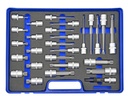 1/2 in. Drive Multi-Spline (XZN) Bit Socket Set, 27 Pieces, M5–M18, 55/100/140 mm (98844285, PICHLER)