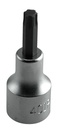 Galvutė su Torx Plus antgaliu 40 IP, ilgis 60 mm (9886040, PICHLER)