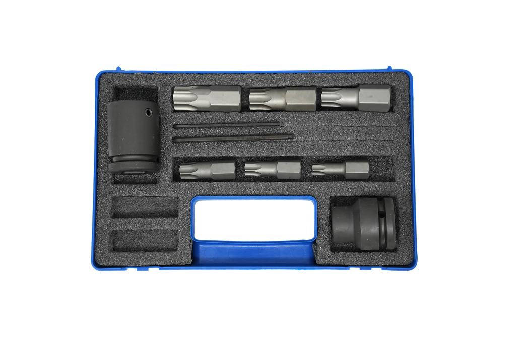 Torx Impact Bit Set, 8 pcs.: Hex Sockets 16 and 22 mm, TX55, 60, 70, 80, 90, 100 (9887500, PICHLER)
