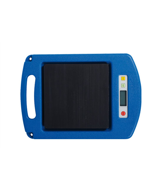 Electronic scales up to 100 kg (DECKAEK302, ECOTECHNICS)
