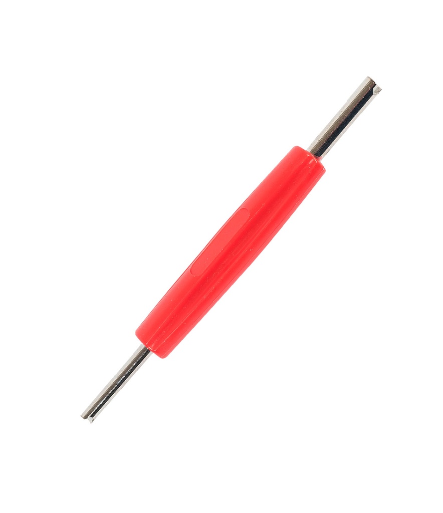 Valve tool with dual extraction valve, A/C (DECKAEK317, ECOTECHNICS)