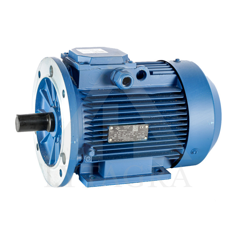 Elektromotors 5,5 kW (420)