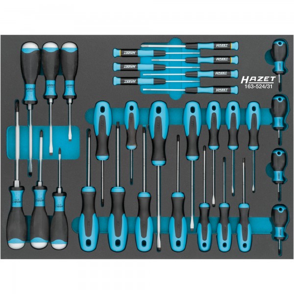 Screwdriver set, 31 pcs – slot, PH cross recess, inside TORX (163-524/31, HAZET)
