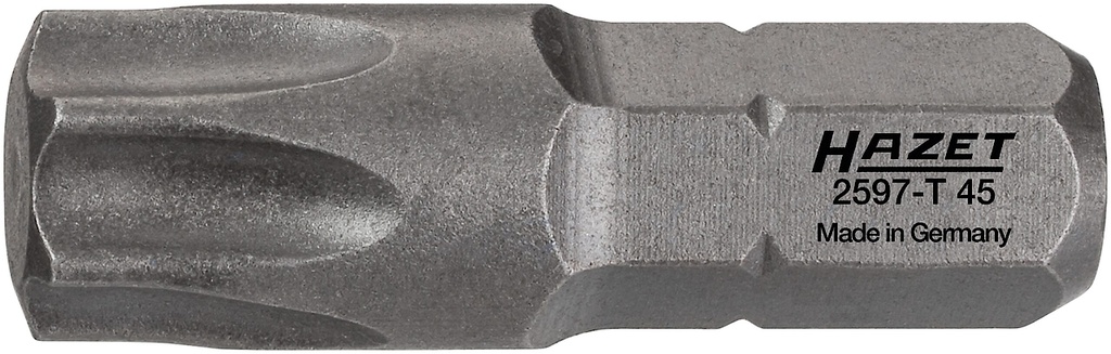 Atsuktuvo antgalis, žvaigždinis Torx T45, 1/4″ (6,3 mm) šešiabriaunis (2597-T45, HAZET)