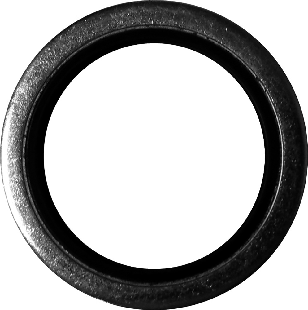 Sealing washer (gasket) G3/4″ (1367422, EUROLUBE)