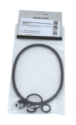 Gasket Kit Air Motor C115 13770, 15755, 15765-66, 25725, 25730-32, 25745-46, 25787-88 (1557327, EUROLUBE)