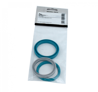 Lower Seals Kit 22441 & 15755 (1557500, EUROLUBE)