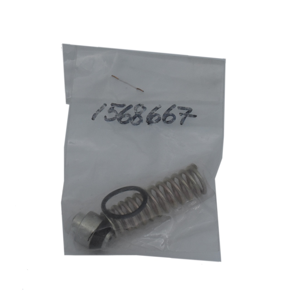 Complete Valve Kit 16723 (1568667, EUROLUBE)