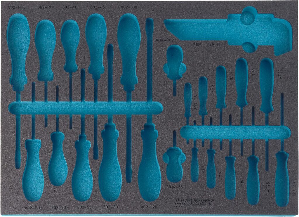 Two-component foam tool insert (163-141L, HAZET)