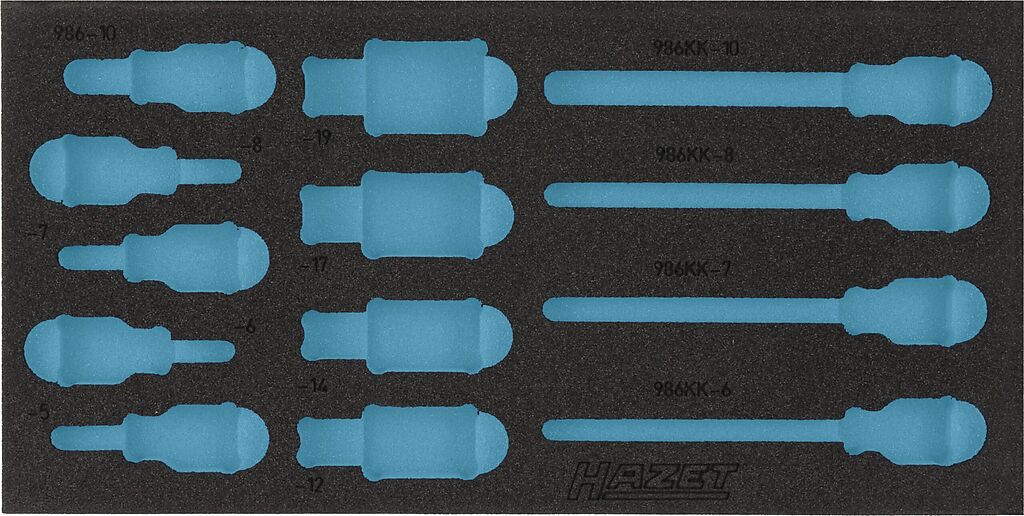 Two-component foam tool insert (163-220L, HAZET)