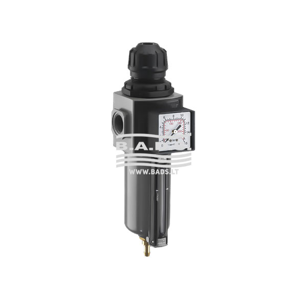 Spiediena regulators E/24/3/P 1/2"F (AH116904, ANI)