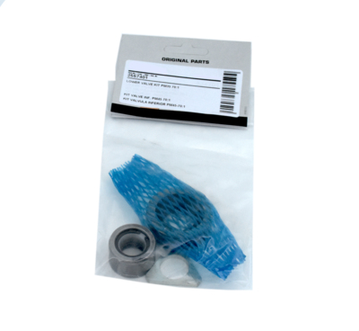 Lower Valve Kit for Pumps 12830-32 & 25730-32 (2557401, EUROLUBE)