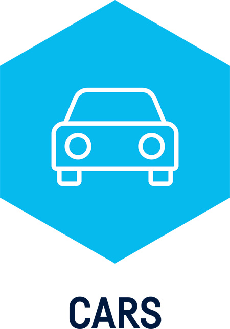 CARS Plus licence for the ICON device, 1 year (W015061903, AUTOCOM)