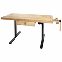 Elektra reguliuojamo aukščio darbastalis (WB150ELIFT_230V, HOLZMANN)