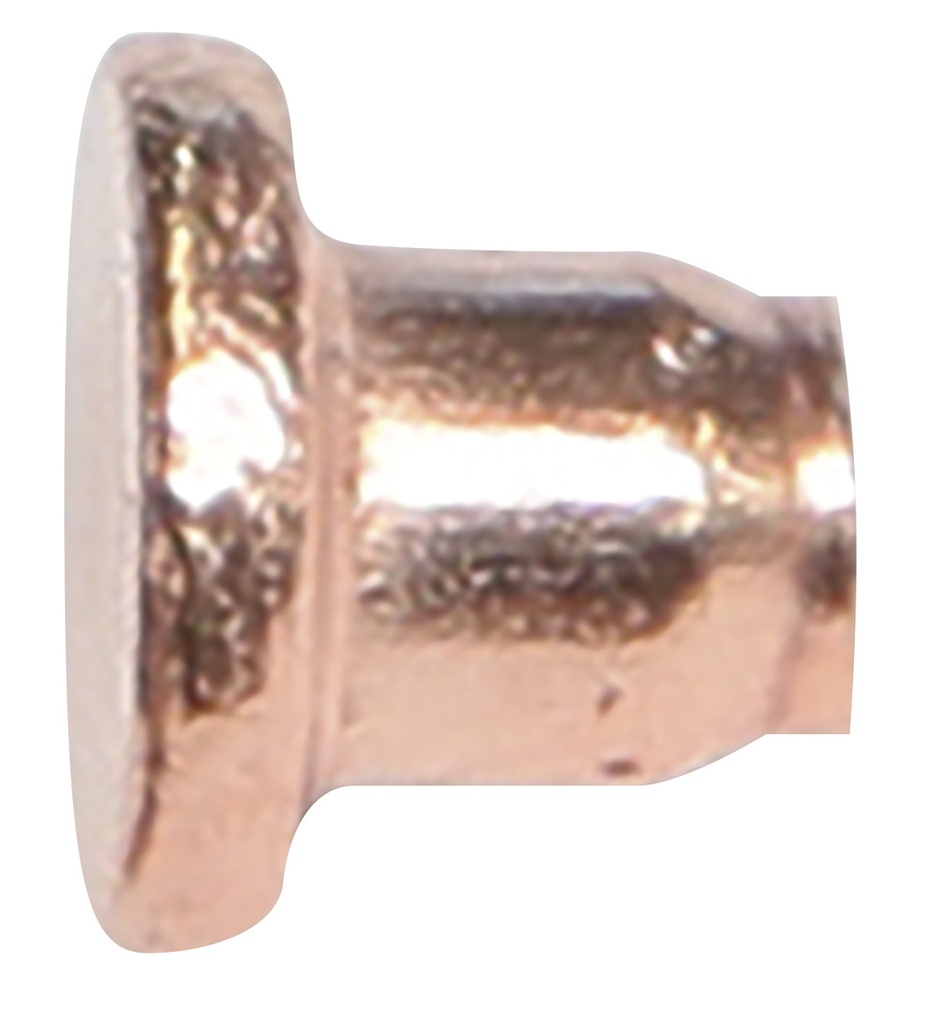 100 RIVETS DIAM. 3 x 3.2 (049345, GYS)