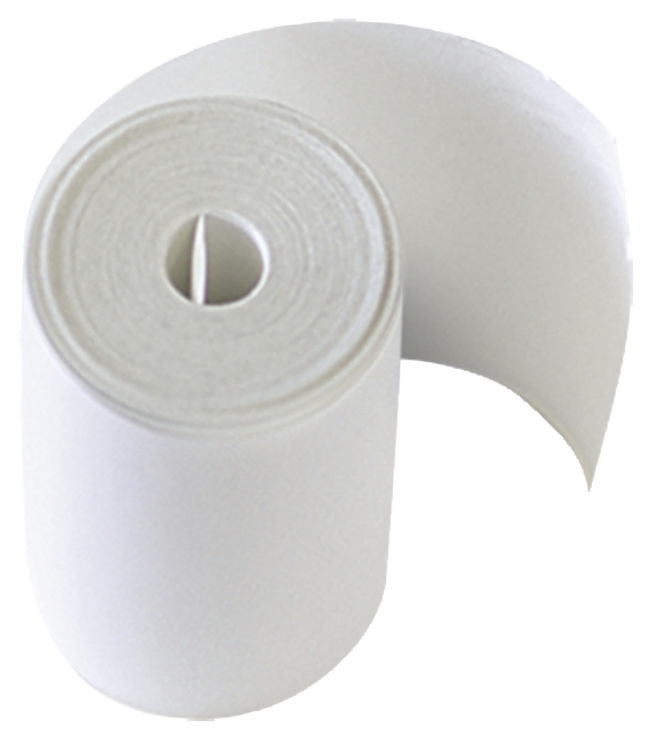 PAPER ROLL �50mm / L 57mm / W 28m - BT2010 - PBT700 / 824 (056237, GYS)