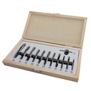 centravimo grąžtų rinkinys 12vnt, 1-5mm, metrinis (ZBS12TLG, HOLZMANN)