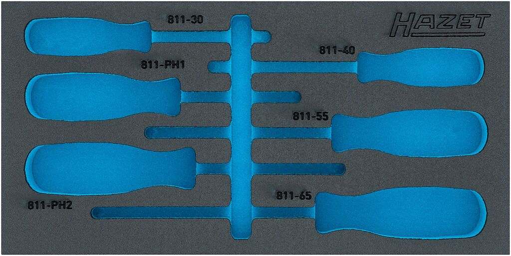 Dvikomponentis putų įdėklas įrankiams 342×172×35 mm (163-265LN, HAZET)