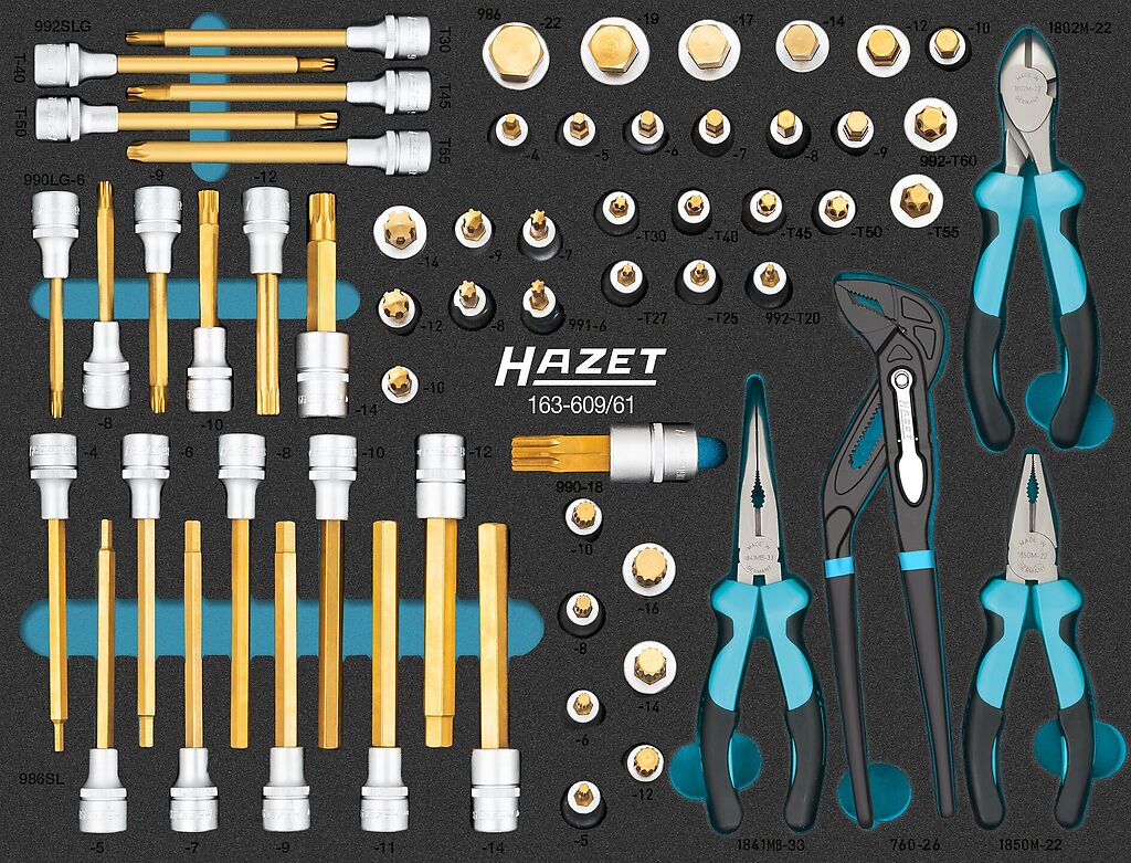 Screwdriver socket set (163-609/61, HAZET)
