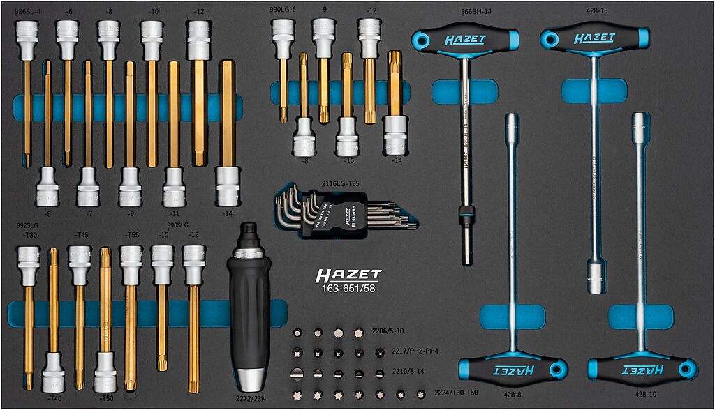 Antgalių su galvutėmis rinkinys, 58 vnt. (163-651/58, HAZET)
