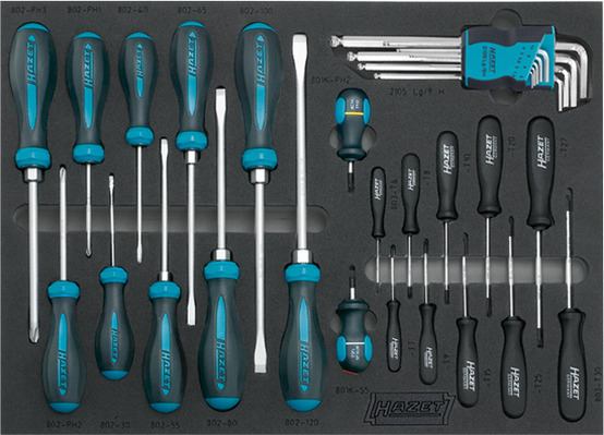 Instrumentu komplekts BMW (163-107/31-BMW, HAZET)