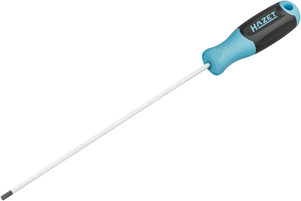Atsuktuvas TORX T25, ilgas (811LG-T25, HAZET)