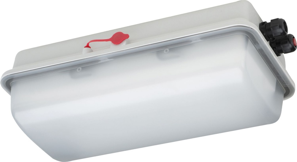 LED diffuser luminaire in ex-proof incl. switch 11580, CEMO