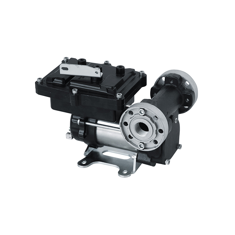 Rotācijas sūknis 12 V DC benzīna pārliešanai, pašuzsūcošs, atbilst ATEX 2014/34/EU (6931, FLEXBIMEC)