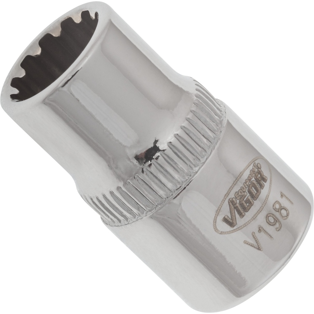 Muciņa ar universālo profilu 1/4 collas ∙ izmērs 8 mm (V1981, VIGOR)