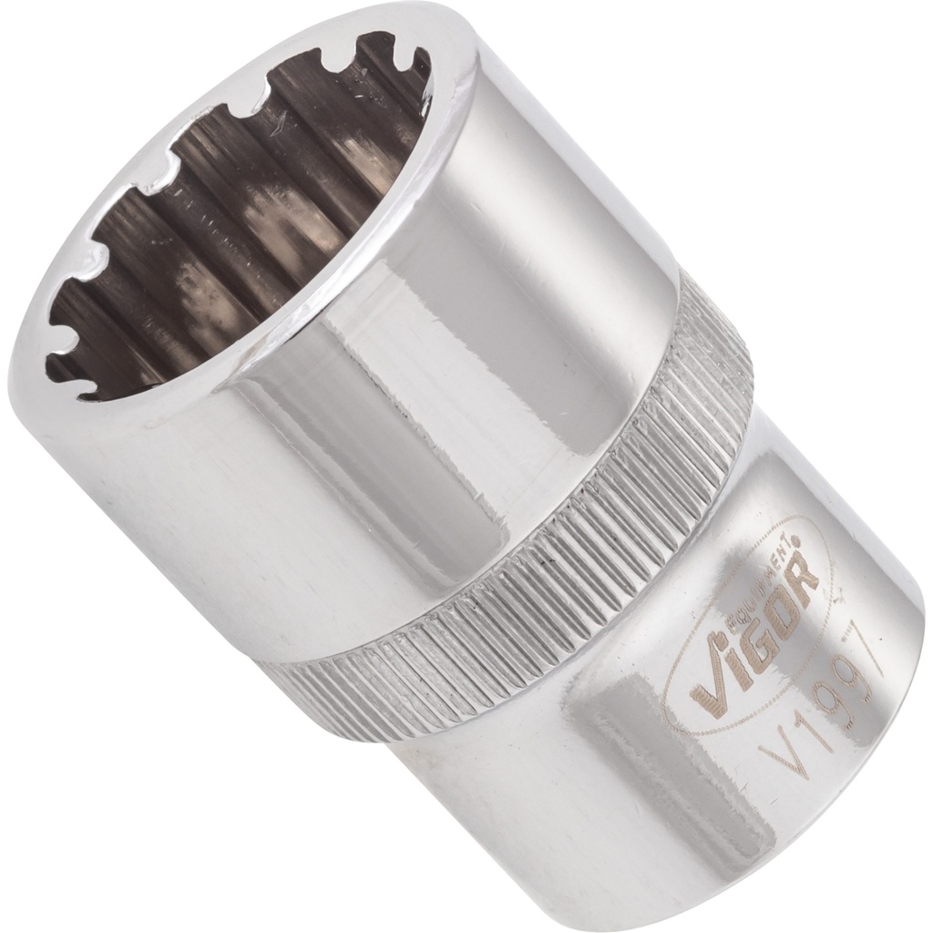 Galvutė su universaliu profiliu 1/2 col. ∙ dydis 19 mm (V1997, VIGOR)
