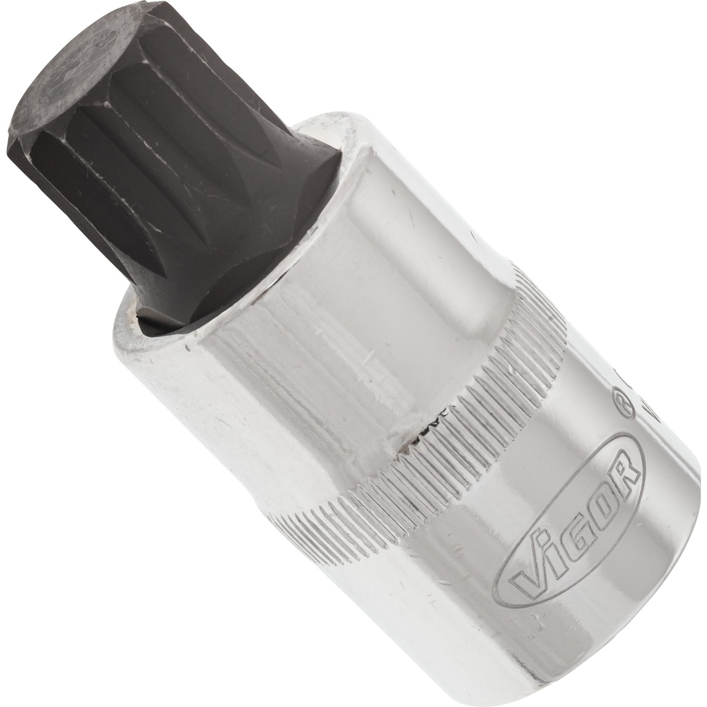 Screwdriver socket for screws with internal serration (XZN) - size M16 (V2100, VIGOR)