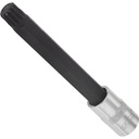 Screwdriver socket for screws with internal serration (XZN) - size M14 (V2132, VIGOR)