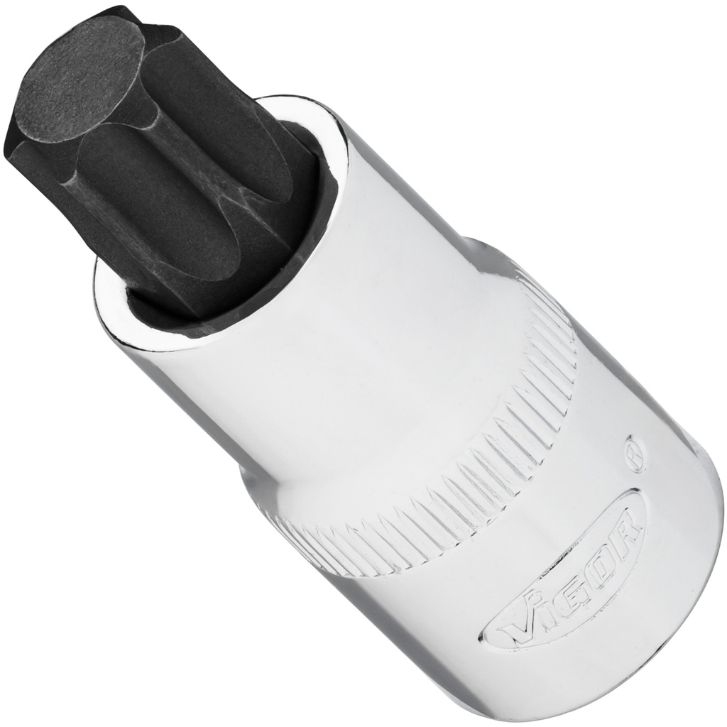 Socket (V2199N, VIGOR)